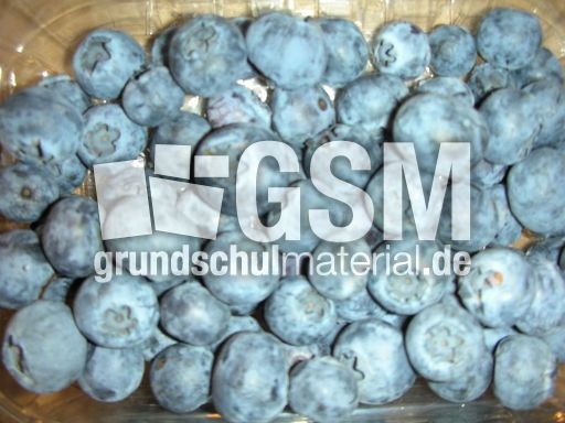 Blaubeeren.JPG